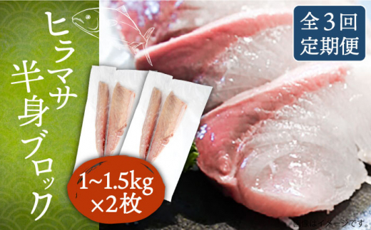 【全3回定期便】ヒラマサフィレ 約2〜3kg（1尾）《壱岐市》【なかはら】[JDT042] ヒラマサ フィレ 柵 刺身 刺身ブロック 刺し身 切身 冷凍 海鮮 海鮮丼 141000 141000円 冷凍配送