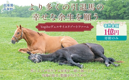 【1億円コース 返礼品無し】より多くの引退馬の幸せな余生を願う　Yogiboヴェルサイユリゾートファーム BRTV024-08