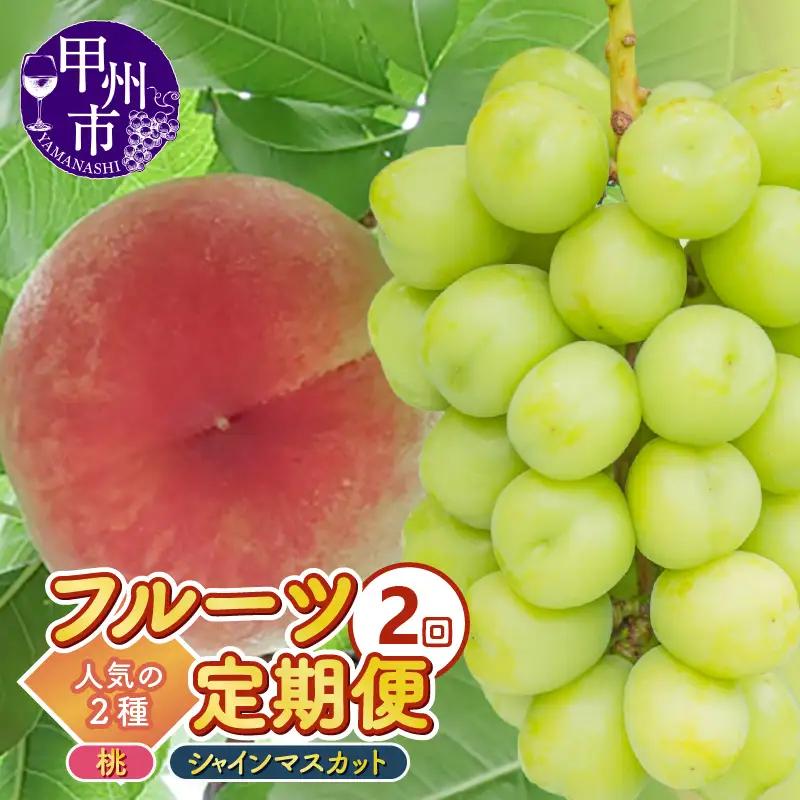 【定期便】2回フルーツ定期 桃約2.0kg（5～8玉）シャインマスカット約1.0kg（2房）人気の2種セット【2026年発送】（KKK）B19-831 桃 シャインマスカット フルーツ