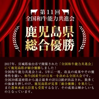 【志布志市制20周年記念】4等級以上の国産牛肉！鹿児島黒毛和牛高級部位 800g b45-001