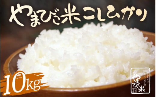 【先行予約】【令和7年産・新米】 コシヒカリ 10kg 新庄やまびこ米（白米）【2025年10月以降順次発送予定】特A 白米 こめ コメ お米 おこめ こしひかり 5キロ 10キロ おすすめ お米ならこれ 産地直送 [m23-b008]