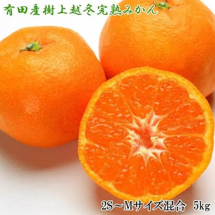 ［濃厚・まろやか］有田産樹上越冬完熟みかん5kg（2S～Mサイズ混合・秀品）★2027年1月下旬頃より順次発送