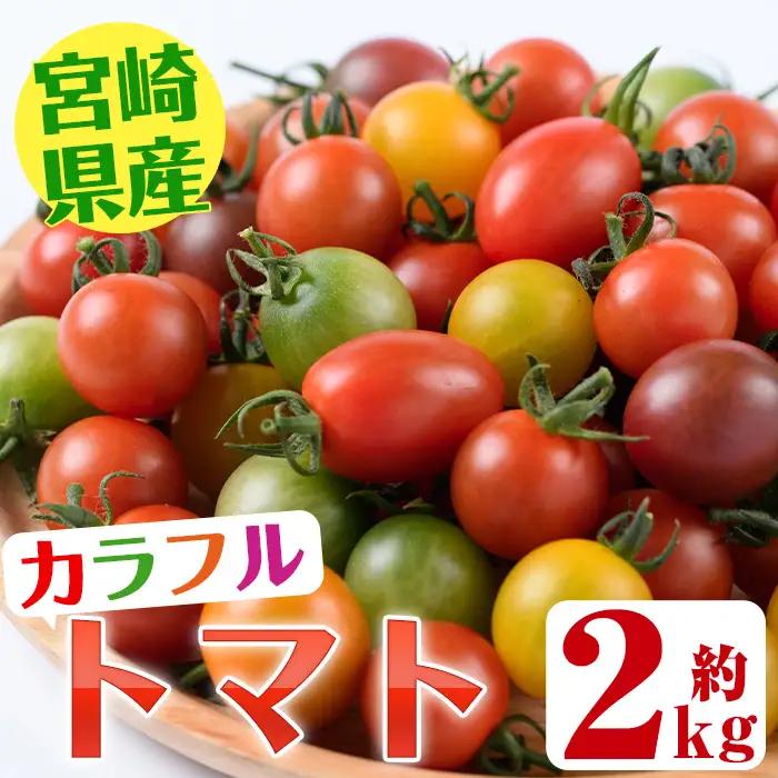 ＜先行予約受付中！2026年11月から順次発送予定＞カラフルトマト食べ比べセット(約2kg・9品種の中から4品種以上)国産 野菜 【KT-2】【K.TFarm】