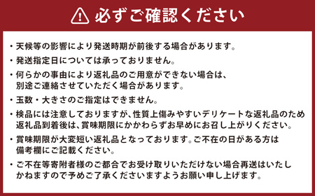 【地元民が愛する幻のすいか】長浦すいか（M玉以上 ／ 5-6kg） 【2026年6月上旬～6月下旬迄発送予定】 ／ 長浦スイカ すいか スイカ 西瓜 果物 フルーツ 季節の果物 長崎県産 長崎市産 長