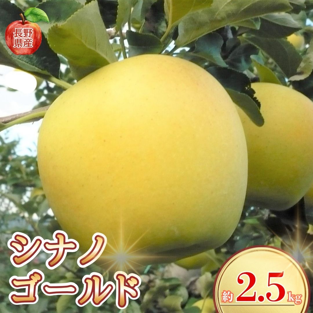 【ふるさと納税】【2026年先行予約】長野県産りんご シナノゴールド(長野県オリジナル品種) 約2.5kg｜林檎 リンゴ 千曲市 長野県産 信州