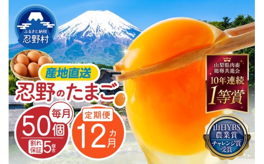 【12ヶ月定期便】富士山の麓で育った産地直送 ”忍野の卵”（毎月50個×12回）※割れ保証含む　[卵 定期便 定期 国産 産地直送 毎月 生卵 玉子 たまご 卵かけご飯 卵焼き 親子丼 目玉焼き すき焼き オムライス オムレツ スイーツ作り 料理 調理 人気 鶏卵 鶏 新鮮 12ヵ月 12か月 山梨県 忍野村]