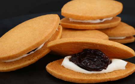 レーズンサンド 10個 ぶどう ブドウ 藤稔のレーズンサンド レーズン 藤稔 葡萄 菓子 洋菓子 焼き菓子 お菓子 おかし スイーツ すいーつ おやつ 美味しい 手作り ドルチェ デザート ギフト プ