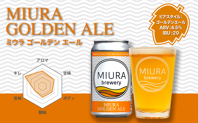 【全6回定期便】【三浦ブルワリー】クラフトビール 12本飲み比べセット　M110-T06