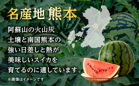 【先行予約】【数量限定】こだま西瓜 1箱約8kg (3L～M 3～6玉入り)【株式会社 GGYパッケージ】[AYAU003]