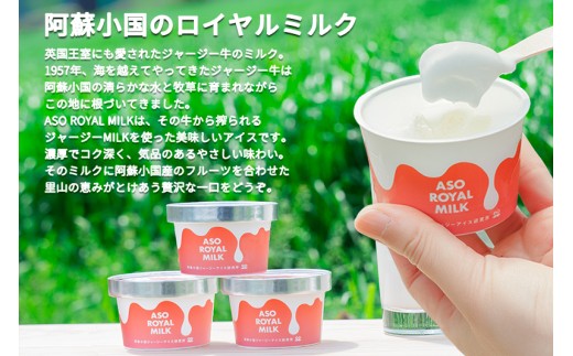 【ASO ROYAL MILK】阿蘇小国ジャージーアイス 小国ラズベリー 100ml 16個 1600ml 国産 熊本県産 小国ジャージー牛乳 ジャージーミルク ゴールデンミルク 国産ラズベリー 熊本