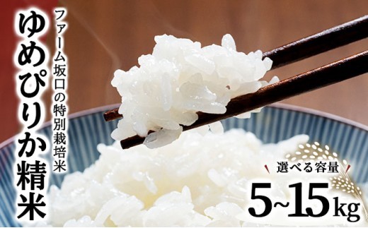 
                  ≪選べる内容量！≫ 令和8年産！ファーム坂口の特別栽培米 ゆめぴりか精米 5kg~15kg
                