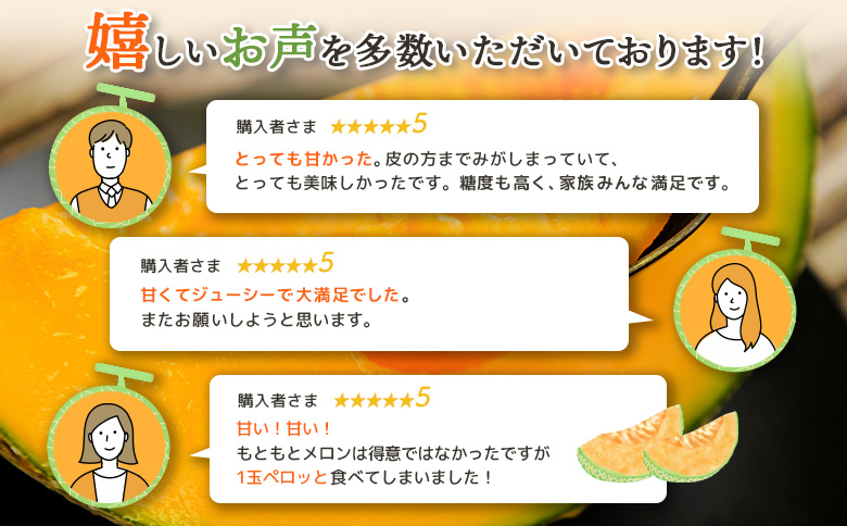 《2026年分受付中》とろける食感と甘い香り北海道三笠メロン2玉入（2.6kg以上）【0100103】