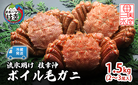 〈冷蔵発送〉流氷明け 枝幸沖 ボイル毛ガニ 1.5kg (2～3尾入) 先行予約【2027年3月頃発送予定】旬の味覚［丸中三興水産］オホーツク枝幸 前浜【 蟹 魚介 北海道 枝幸 】