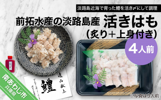 【冷蔵】前拓水産の淡路島産活きはも（炙り＋上身付き）４人前　◆配送6月3日～8月30日