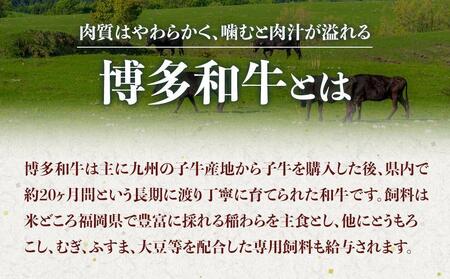 博多和牛A4ランク以上焼肉用タレ漬550g　　　