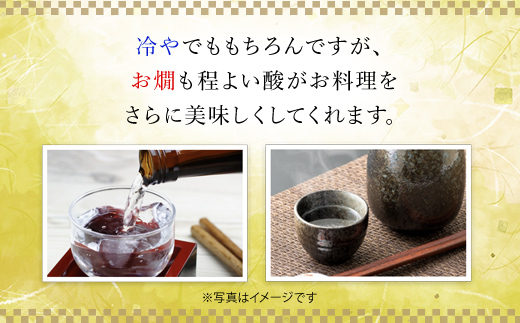 竹泉　どんとこい純米酒「鳶色(とびいろ)」Vintage720ml〜地の酒 しっかりと香ばしい〜 AS1AC21 