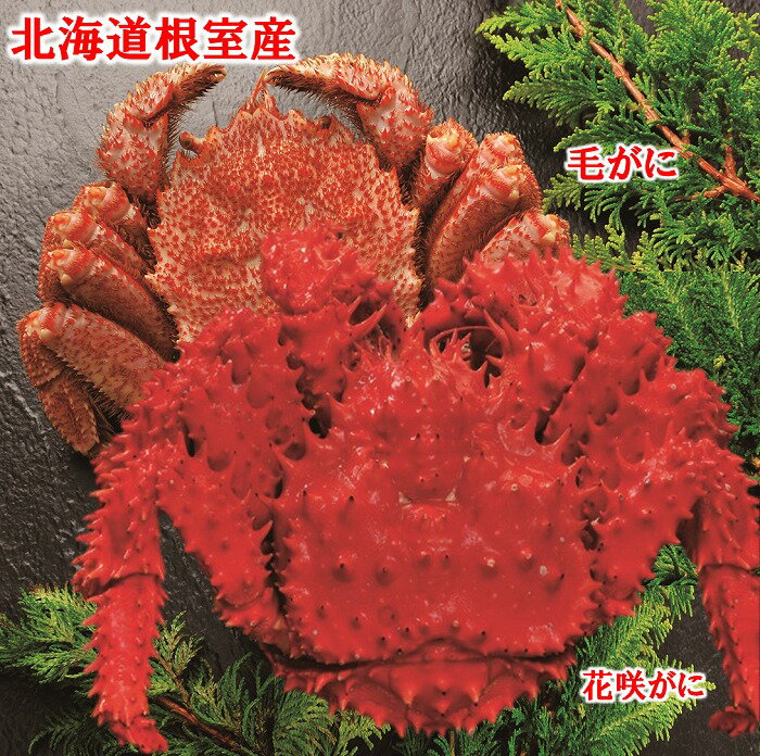 【ふるさと納税】[北海道根室産]毛がにと花咲がに (花咲がに500g×1尾・毛がに330g×1尾) (花咲がに500g×1尾・毛がに330g×2尾) (花咲がに1.5kg前後×1尾・毛がに330g前後×2尾) カニ 蟹 かに 毛蟹 毛ガニ 花咲ガニ 花咲蟹 北海道 根室市