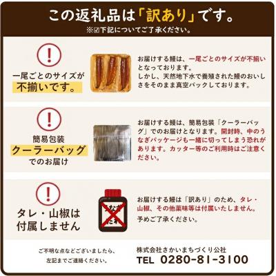 ふるさと納税 境町 【7日以内発送】訳あり さかい河岸水産 国産うなぎ お試し 2尾 200g以上 鰻 うなぎの蒲焼 |  | 01