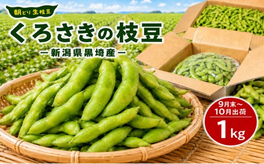 
                  くろさきの枝豆 1kg【9月初旬～10月中旬配送】 新潟県黒埼産 朝どり生枝豆 
                
