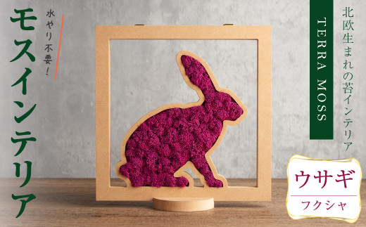 モスインテリア「ウサギ」(フクシャ) ＜横200mm・高さ200mm・幅15mm＞ 観葉植物  苔 コケ テラモス インテリア 植物 【結び】 sh029-C