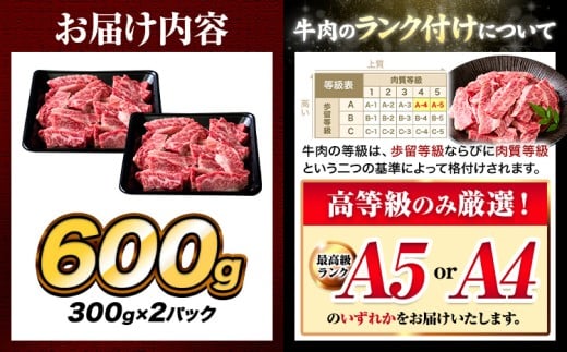 A4〜A5等級 黒毛和牛 切り落とし 上 カルビ 焼肉 切り落とし 600g 《30日以内に出荷予定(土日祝除く)》くまもと黒毛和牛 熊本県 産山村 上カルビ 焼肉用 黒毛和牛 焼肉 肉 お肉 和牛 