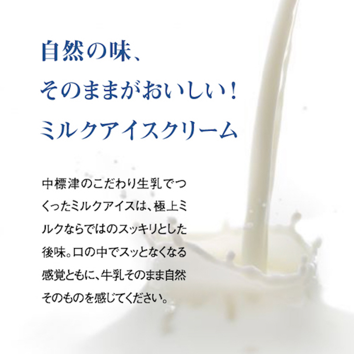 【無添加】 北海道 プレミアムミルクアイスクリーム×6個【11037】_イメージ2