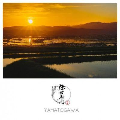 ふるさと納税 喜多方市 雪蔵銀ぴか米ミルキークイーン10kg