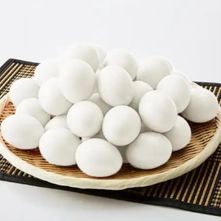 大分生まれのAW飼い「豊の米卵」5kg(白卵)【配送不可地域：離島】【1740554】