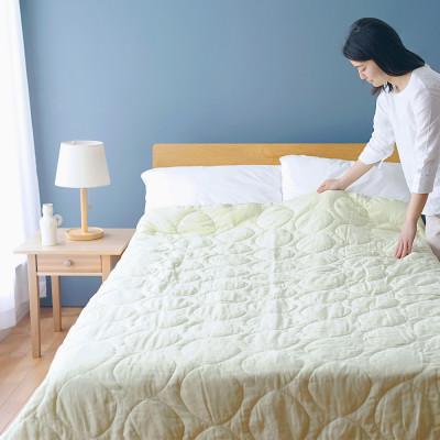 ふるさと納税 福山市 ちょうどよい心地5層ガーゼケット【シングル】ピスタチオグリーン約150×210cm |  | 01