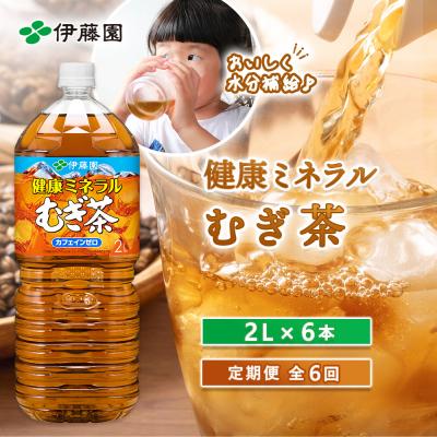 ふるさと納税 恵庭市 『定期便:全6回』健康ミネラルむぎ茶2L×6本【500002】