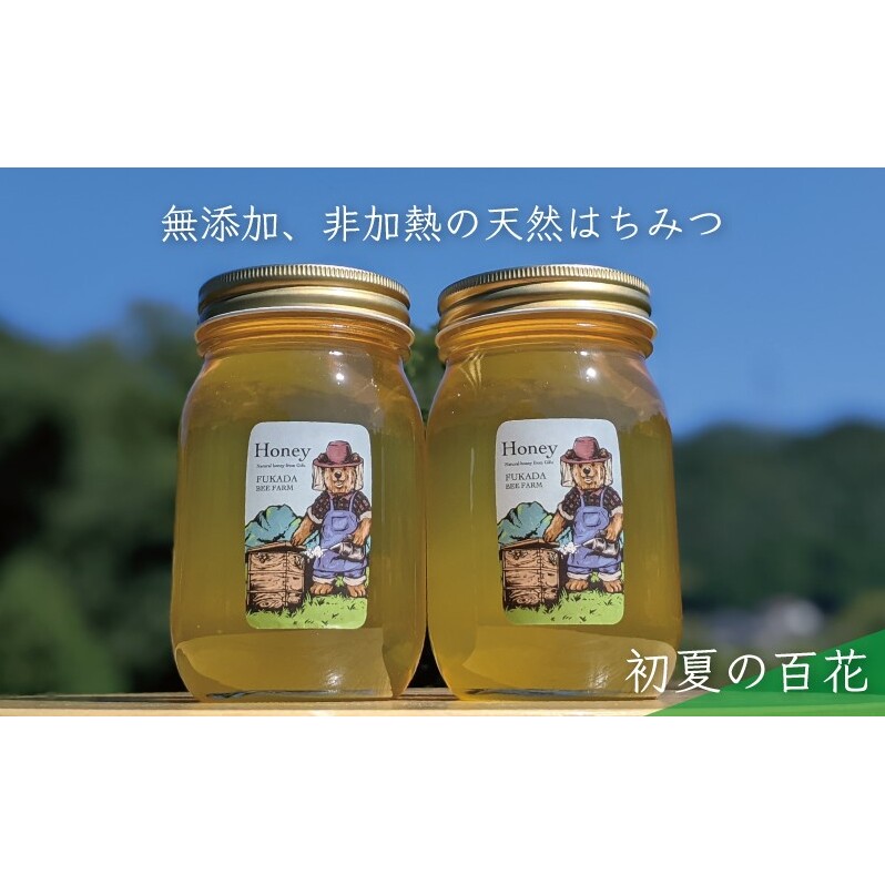 合計1200g 天然蜂蜜 国産蜂蜜 非加熱 生はちみつ 岐阜県 美濃市産 初夏  (蜂蜜600g入りガラス瓶2本セット)B6_イメージ1