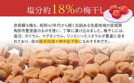 【2026年1月下旬より発送】梅干し　種なし身割れ　1kg　超お得パッケージ　限定600個