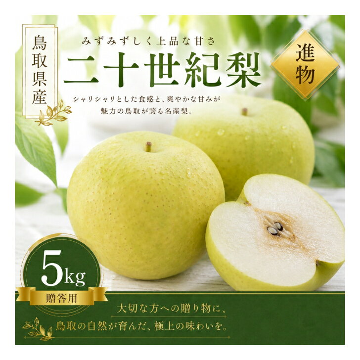 【ふるさと納税】【予約受付中】有梨の実石田 二十世紀梨 進物用 5kg やまのおかげ屋 鳥取県 米子市