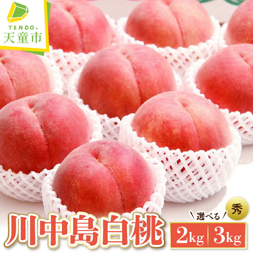 【ふるさと納税】もも ( 川中島白桃 ) 2kg / 3kg 山形県産 桃 白桃 果物 フルーツ 秀品 2kg 5～7玉 / 3kg 8～12玉 ご家庭用 のし 贈答 ギフト おすそ分け 旬 夏 秋 期間限定 常温便 または 冷蔵便 送料無料 先行予約 【 山形県 天童市 】