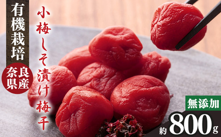 有機栽培 小梅しそ漬け梅干 700g | 梅干し 天然塩 熊代農園