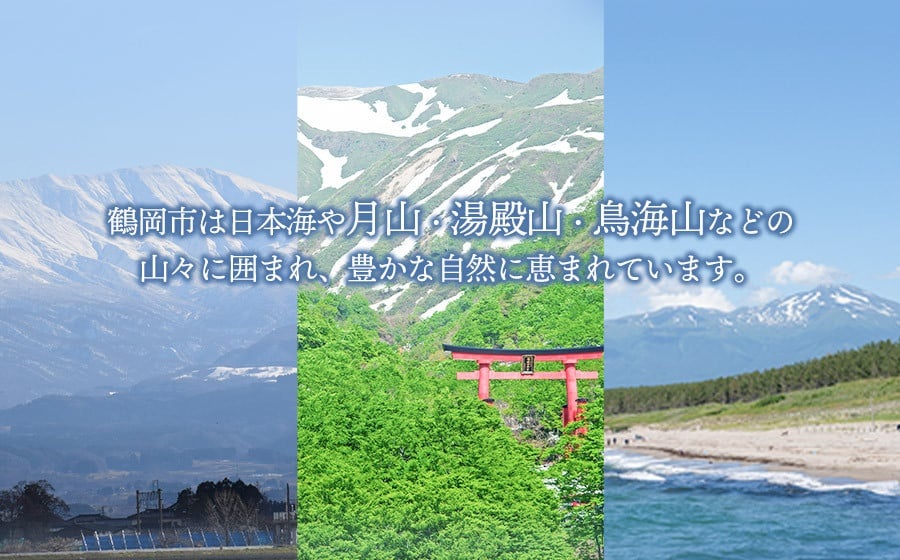 【令和7年産 先行予約】鶴岡産　桃　約2kg（5～11玉入） あかつき or 川中島 どちらか1品種　庄内産直センター