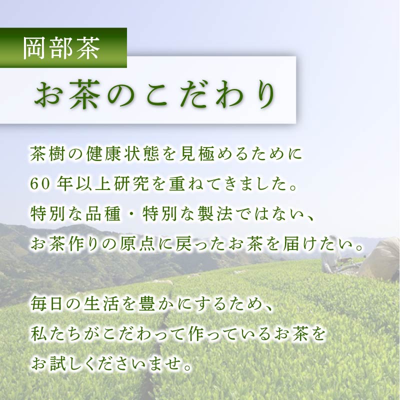 【全3回配送定期便】有機 煎茶 計500g 緑茶 茶葉 オーガニック 100g 5袋 セット 一番茶 静岡県 岡部茶 煎茶 JAS 深蒸し 無農薬 化学肥料 不使用 グリーン ティー 贈物 贈答 静岡県 藤枝市  [PT0052-001000] 