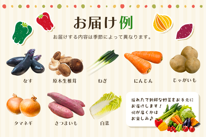 新鮮 奥久慈産 旬の野菜詰め合わせ 季節 セット 茨城県 特産 野菜セット 詰め合わせ 国産 旬 お試し おまかせ お楽しみ 野菜 採れたて 美味しい 直送