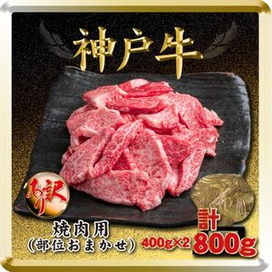 訳あり 神戸牛 焼肉用(部位おまかせ)計800g TSY1-2 【2026年4月より順次発送】【配送不可地域：離島】【1682624】