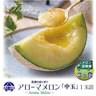【ふるさと納税】【毎月定期便】アローマメロン白等級(中玉) 1玉 全3回【配送不可地域：離島・北海道・沖縄県】【4013016】