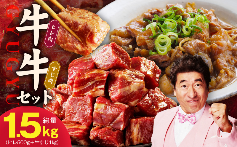 【スピード発送】牛ヒレ 500g＋牛すじ肉 1kg 総量1.5kg【氷温熟成×特製ダレ 味付き 訳あり サイズ不揃い 小分け 冷凍 SDGs フードロス カレー 煮込みに 大阪 泉佐野 大阪府 泉佐野市】