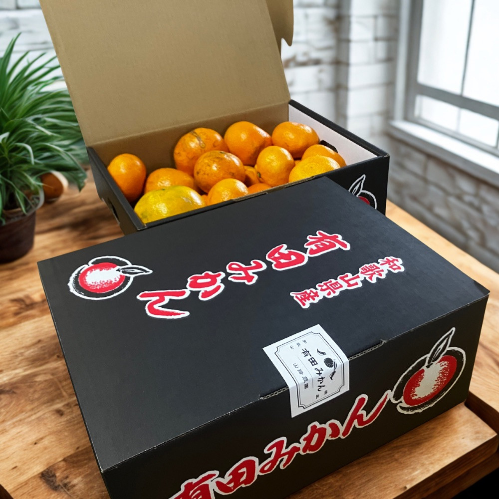【訳あり】有田みかん 約3kg 家庭用 EY001