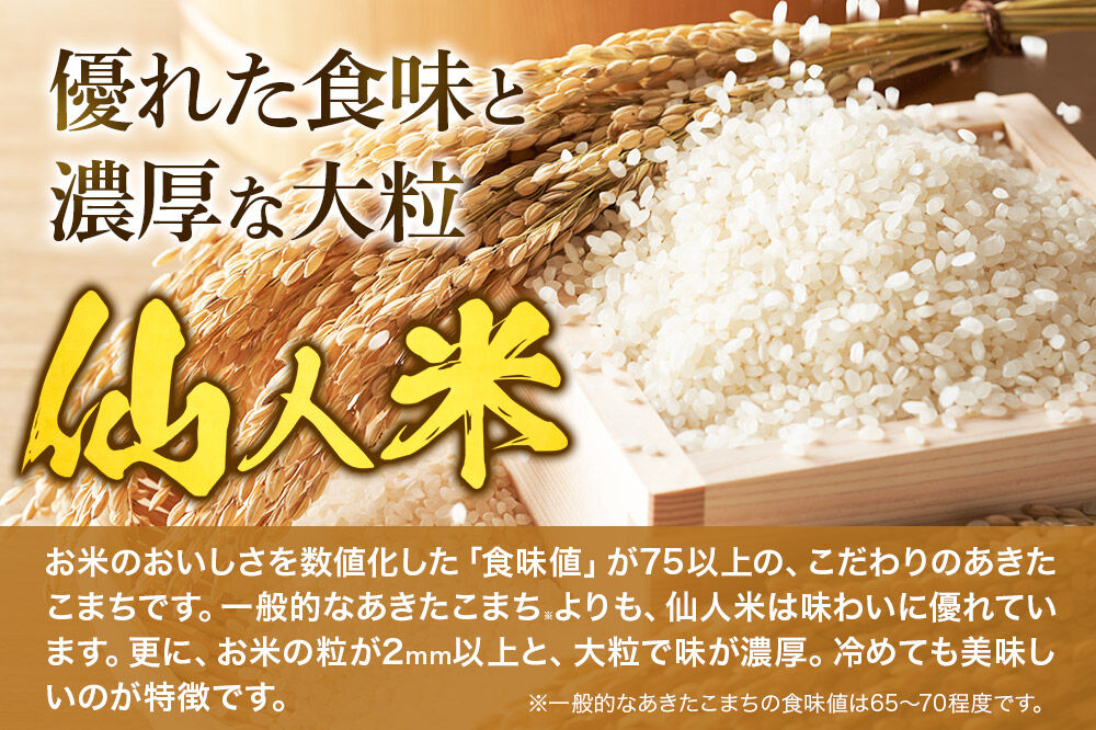 令和8年産 あきたこまち「仙人米」無洗米 10kg（5kg×2袋）  新米受付予約【2026年10月中旬以降、順次発送】 [国産 秋田産 秋田県産 白米 精米 無洗米 お米]
