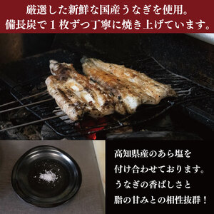 うなぎ 鰻 国産 500g 2尾 うなぎ白焼 タレ付き 鰻