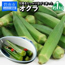 【ふるさと納税】オクラ 約 1kg 国産 太陽 たっぷり 浴びて 育った 野菜 2024年発送 新鮮 栄養 ボリューム お弁当 天ぷら 産地直送 お取り寄せ セット 料理 総菜 おかず サラダ 愛知県 碧南市 送料無料