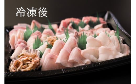 (1906)【定期便】 刺身 新鮮 盛り合わせ 仙崎発旬のお刺身盛合せ2-3人前 3D冷凍 長門市 隔月発送 全6回
