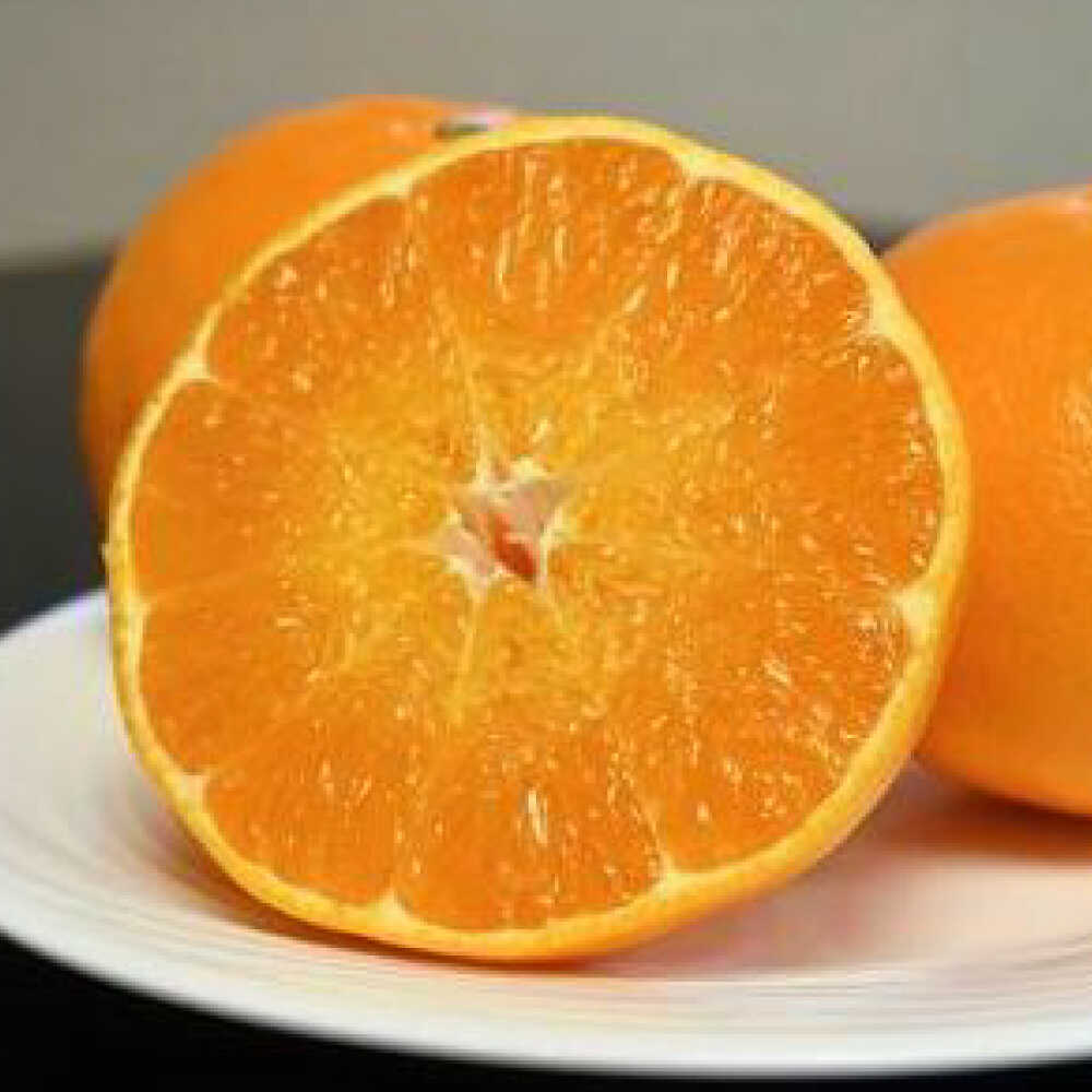 【ふるさと納税】【2026年発送分 先行予約】にじゅうまる 約5kgバラ入りお徳用 / 佐賀県 / 一般社団法人龍乃 [41ANAC009]