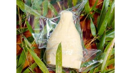 《 先行予約 》新鮮な ゆでタケノコ 約1kg 竹の子 1キロ【2026年4月上旬以降発送】