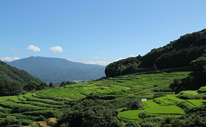 多久市の棚田と天山