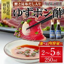 【ふるさと納税】ゆずポン酢(250ml×2本 or 5本)カツオ たたき 刺身 タレ ゆず ポン酢 調味料 オススメ 人気 お茶漬け 丼物 から揚げ 国産 常温【指宿食品】